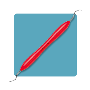 Veterinary - Calculus removal